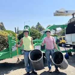 Oregon Woodsmen Tree Service - The best Oregon Woodsmen!