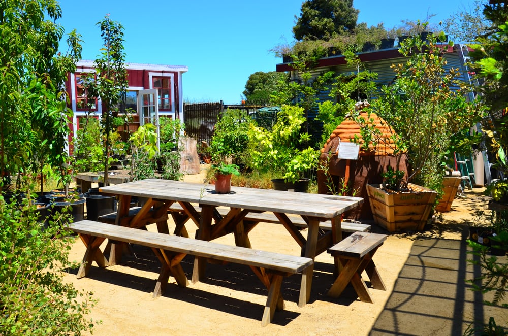 MILL VALLEY POTTER’S STUDIO 36 Photos 254 Shoreline Hwy, Mill Valley, California Art