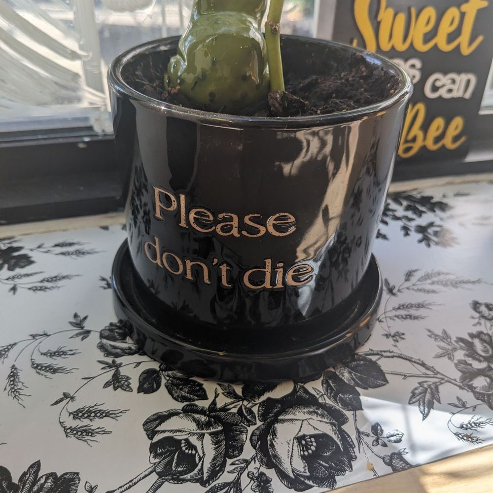 Be Kind Coffee - Coffee & Tea Near Me - Clemmons, North Carolina Be Kind Coffee - Coffee & Tea Near Me - Clemmons, North Carolina