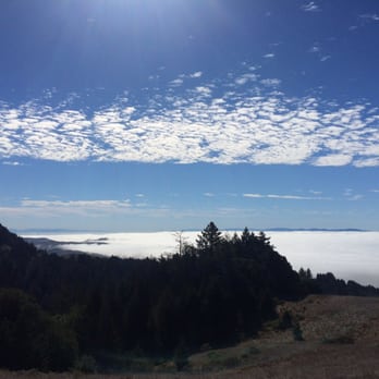 Matt Davis-Steep Ravine Loop - You can see sutro tower sticking out through the clouds! And the city skyline if it was more clear - Hiking Near Me - Stinson Beach, California Matt Davis-Steep Ravine Loop - You can see sutro tower sticking out through the clouds! And the city skyline if it was more clear - Hiking Near Me - Stinson Beach, California