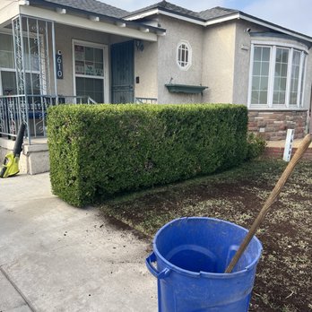 Franciscos Landscaping - Hedge - Landscaping Near Me Franciscos Landscaping - Hedge - Landscaping Near Me
