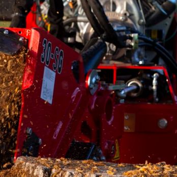 Stump Slayer - Tree Services Near Me - Summerville, South Carolina Stump Slayer - Tree Services Near Me - Summerville, South Carolina