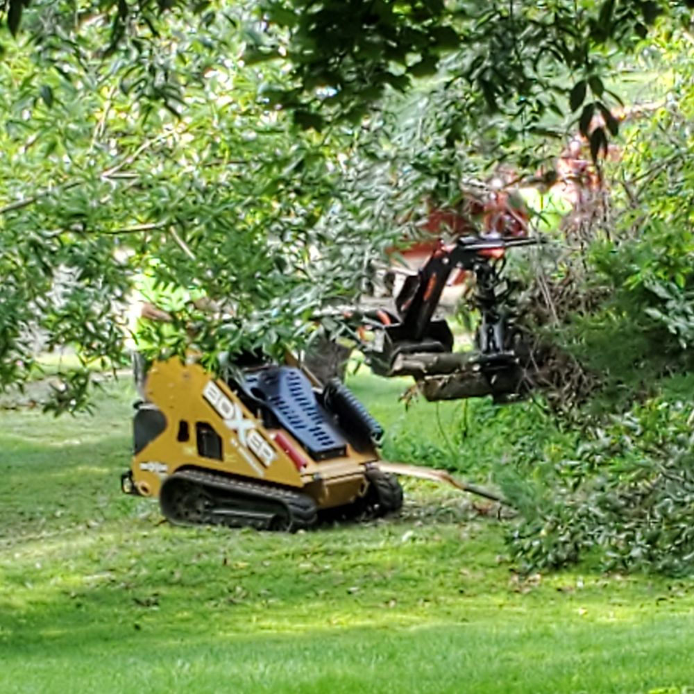 Smith's Tree Service - Tree Services Near Me - Califon, New Jersey Smith's Tree Service - Tree Services Near Me - Califon, New Jersey