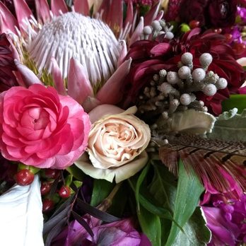 Petals & Pages - King protea - Florists Near Me - Custer, South Dakota Petals & Pages - King protea - Florists Near Me - Custer, South Dakota