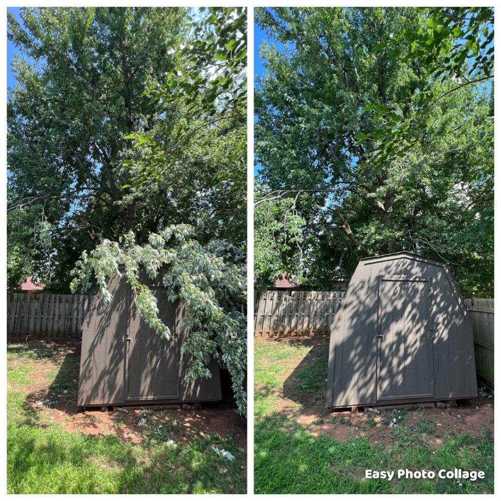 TLC Tree & Lawn Care - tree service in Oklahoma City, OK