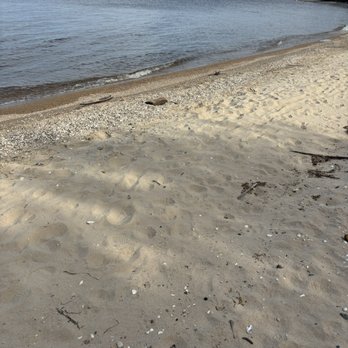 Zippel Bay State Park - Beach - Parks Near Me - Williams, Minnesota Zippel Bay State Park - Beach - Parks Near Me - Williams, Minnesota