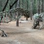Photo of Allaire State Park