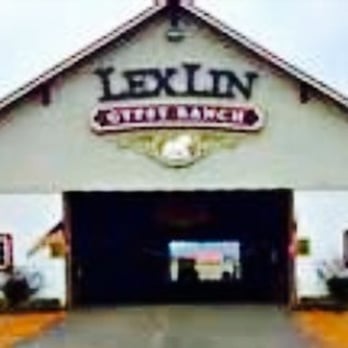LexLin Ranch - Horseback Riding Near Me - Rockwood, Tennessee