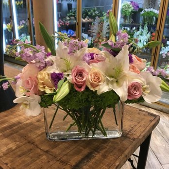 Plants N Petals - Great gift ! - Florists Near Me - Houston, Texas Plants N Petals - Great gift ! - Florists Near Me - Houston, Texas