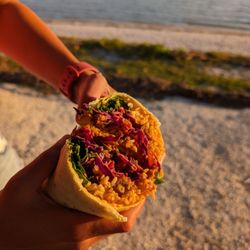 Chicken Tikka Masala Currito $13.50
