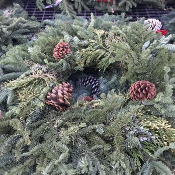 Calloway's Nursery - Nurseries & Gardening Near Me - Dallas, Texas Calloway's Nursery - Nurseries & Gardening Near Me - Dallas, Texas