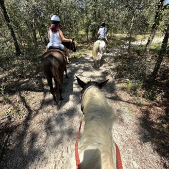 Orange Blossom Trail Rides - Horseback Riding Near Me - Dunnellon, Florida Orange Blossom Trail Rides - Horseback Riding Near Me - Dunnellon, Florida