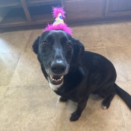 Party hat