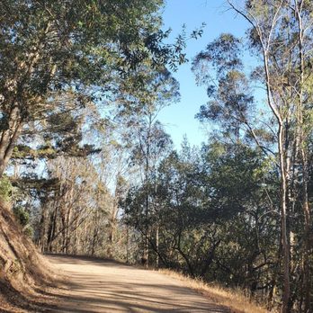 Strawberry Canyon Fire Road Trail - Hiking Near Me - Berkeley, California