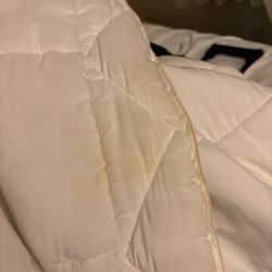 Quality Inn & Suites At Coos Bay - This was just pulled offa CLEAN BED??!!!!