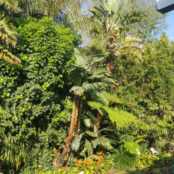 Vero's Tree Service - Tree Services Near Me - Simi Valley, California