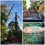 Califa Tree Care