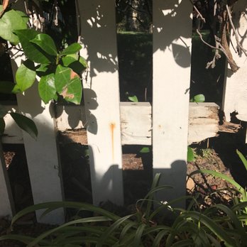 Five Star Fence - Portion of rotted fence they completely missed. - Fences & Gates Near Me - Pacoima, California Five Star Fence - Portion of rotted fence they completely missed. - Fences & Gates Near Me - Pacoima, California