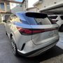 Peerless Auto Detailing