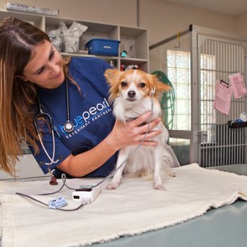BluePearl - Midvale - Veterinarians Near Me - Midvale, Utah BluePearl - Midvale - Veterinarians Near Me - Midvale, Utah