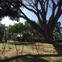 Photo of Kamanele Park