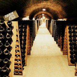 Wine Passport - Learn more about the Champagne making process!