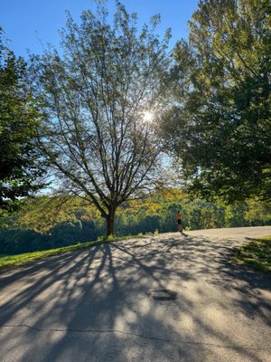 Cherokee Park by null