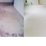 Photo of Ms Carpet Clean