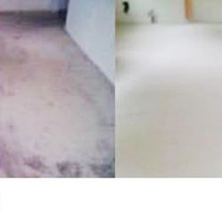 Ms Carpet Clean