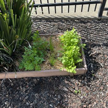 Culiver Cultivations - Gardeners Near Me Culiver Cultivations - Gardeners Near Me
