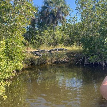 Corey Billie's Airboat Rides - Boat Tours Near Me - Collier, Florida Corey Billie's Airboat Rides - Boat Tours Near Me - Collier, Florida
