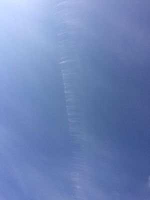 Spectrum Community Services