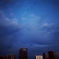 Bats Under the Congress Avenue Bridge - The bat colony emerging at dusk! (Mid-April 2021)
