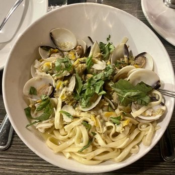 Sazio - Linguine With Clam Sauce so disappointed Had no taste And very little sauce to dunk bread in- waitress never came back to check in us - Italian Near Me - Delray Beach, Florida Sazio - Linguine With Clam Sauce so disappointed Had no taste And very little sauce to dunk bread in- waitress never came back to check in us - Italian Near Me - Delray Beach, Florida