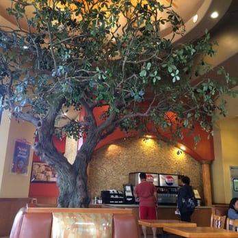 Zankou Chicken - They have a fake tree display in the seating area. - Mediterranean Near Me - Burbank, California Zankou Chicken - They have a fake tree display in the seating area. - Mediterranean Near Me - Burbank, California