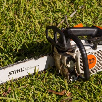 Rudy Hernandez's Tree Service - Tree Services Near Me Rudy Hernandez's Tree Service - Tree Services Near Me