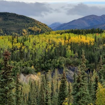 Denali National Park - Hiking Near Me - Mckinley Park, Alaska