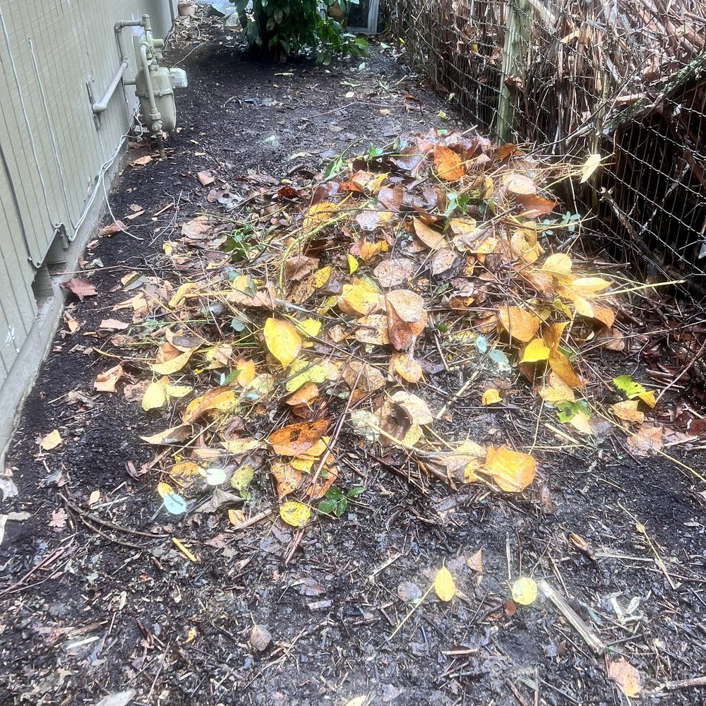 Yard debris Yard debris