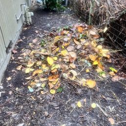 Yard debris Yard debris