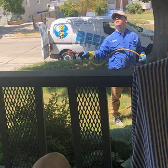 Beeline Pest Control - Pest Control Near Me Beeline Pest Control - Pest Control Near Me