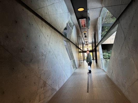 Knot Springs by null