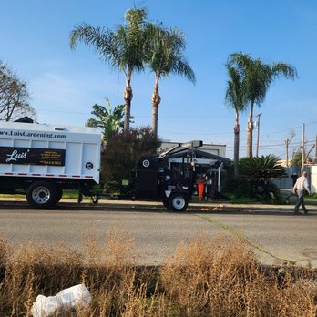 Luis Gardening - Tree Services Near Me Luis Gardening - Tree Services Near Me