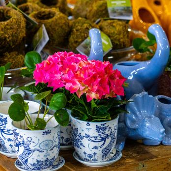 Wilson Nurseries - Nurseries & Gardening Near Me - Frankfort, Kentucky