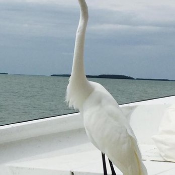 5/0 Charters - along for the ride - Fishing Near Me - Saint James City, Florida