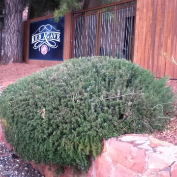 Red Agave Resort - Rosemary - Hotels Near Me - Sedona, Arizona Red Agave Resort - Rosemary - Hotels Near Me - Sedona, Arizona