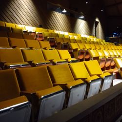 Bishop Center for Performing Arts - Large, comfy velvet seats