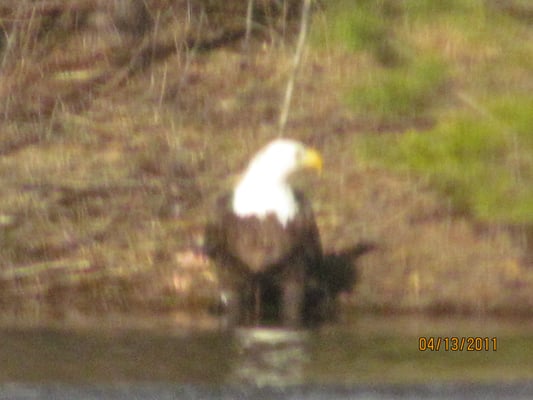 RED PINE CAMPGROUND - 5020 Red Pine Dr, Saginaw, Minnesota - Fishing