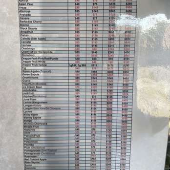 Champa Nursery - 2/10/2023 current prices - Nurseries & Gardening Near Me - El Monte, California Champa Nursery - 2/10/2023 current prices - Nurseries & Gardening Near Me - El Monte, California