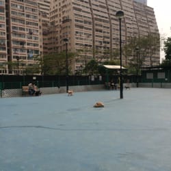 油尖旺寵物公園 - 有人帶了烏龜來放風