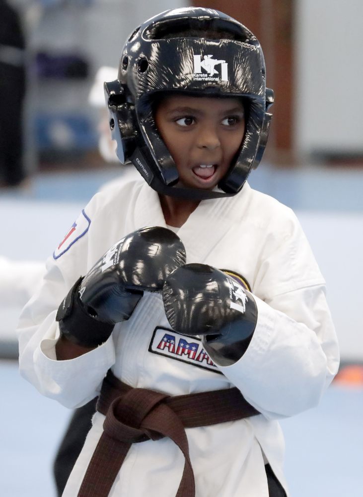 Karate International of Raleigh Logo